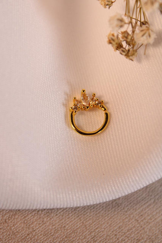 Pieza de Argolla Corona